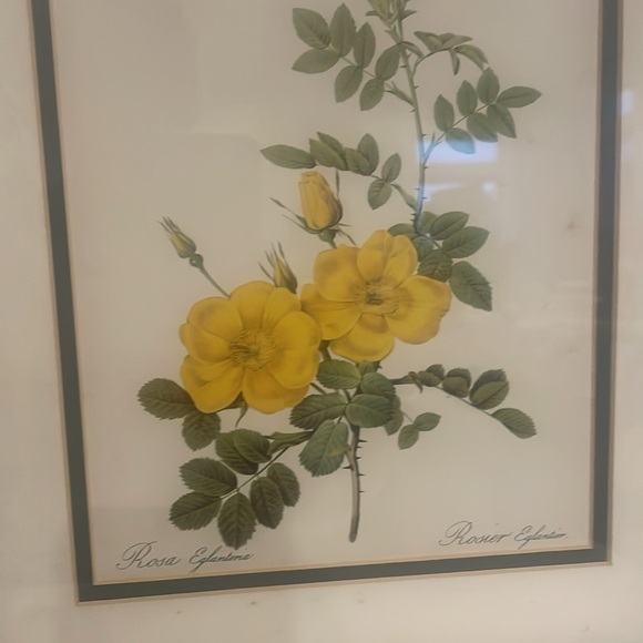 Yellow flower framed print 13x15 vintage 80’s print - Picture 3 of 5